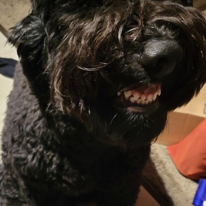 Fundraising Page: Jennifer Irving